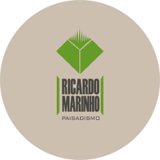 Ricardo Marinho